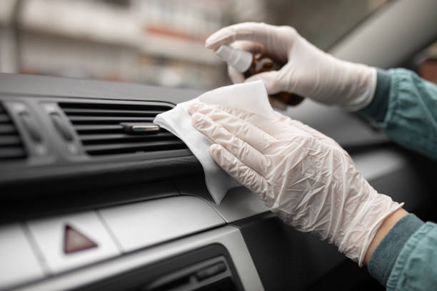 Best Air Duct Mold Removal  in Clayton, NM