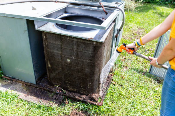 Best Air Duct Cleaning Near Me  in Clayton, NM