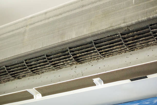 Best Commercial HVAC Duct Cleaning  in Clayton, NM